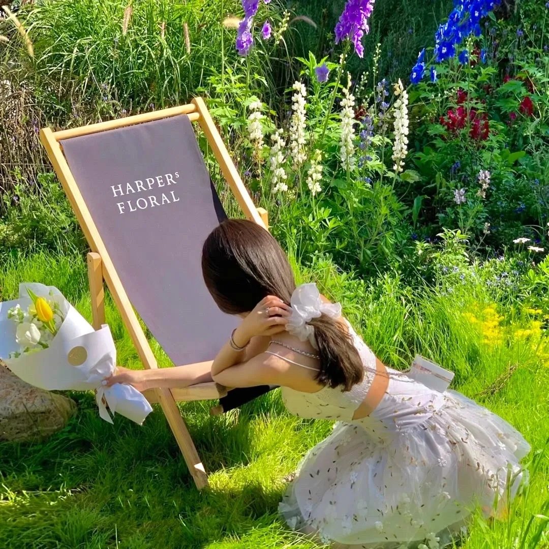 穿书后，我只想种红薯