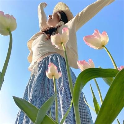 夏洛特女王：布里奇顿前传